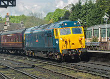 Load image into Gallery viewer, Adopt an Engine - Adult Package