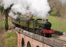 Load image into Gallery viewer, Adopt an Engine - Adult Package