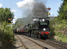 Load image into Gallery viewer, Adopt an Engine - Adult Package