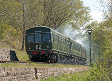 Load image into Gallery viewer, Adopt an Engine - Adult Package