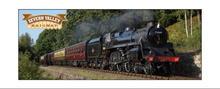 Load image into Gallery viewer, SVR Steam photo mugs (various locomotives available)
