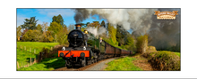 Load image into Gallery viewer, SVR Steam photo mugs- NEW DESIGNS ADDED
